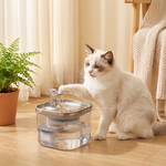 Pouncie Burble stainless steel pet water fountain pet enjoying it in morning light
