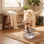 Pouncie Burble stainless steel pet water fountain with a pet in a cozy home