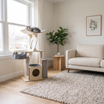 TimberPerch cat tree by a bright living room window