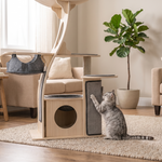 Tabby cat scratching the TimberPerch sisal pad