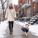 Woman walking a Chihuahua in the NorthPaw jacket on a snowy Montreal street