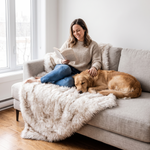 Woman reading on a sofa covered with the SnugShield blanket beside a sleeping golden retriever