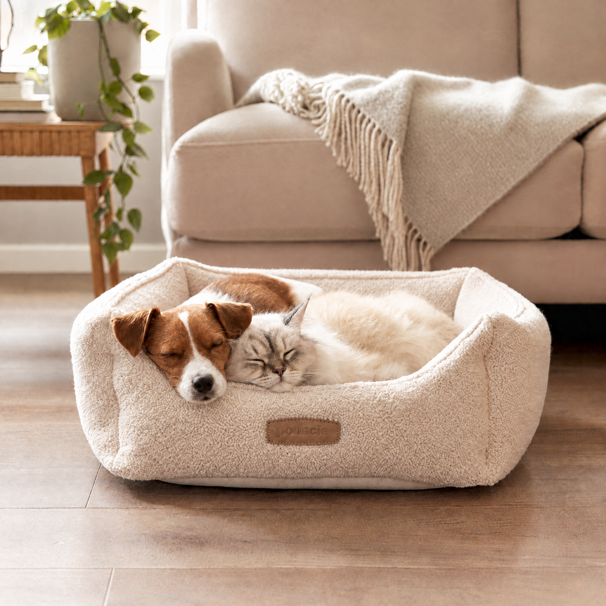Puppy and kitten sleeping together in a cozy bed with a Pouncie leather patch
