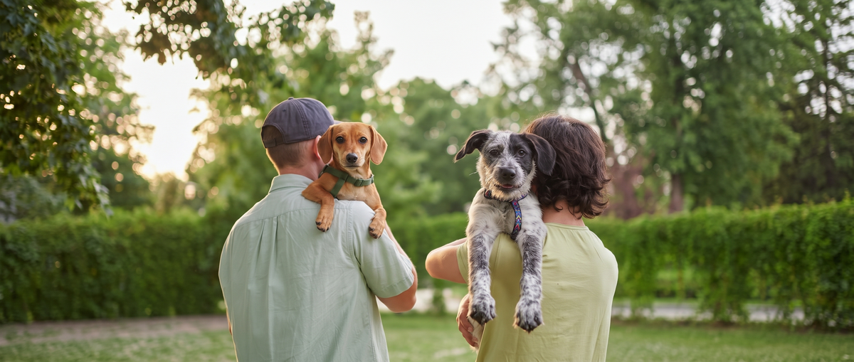 Couple in the park carrying their two small dogs